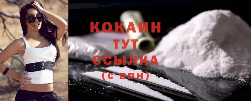 Cocaine Fish Scale Каменка