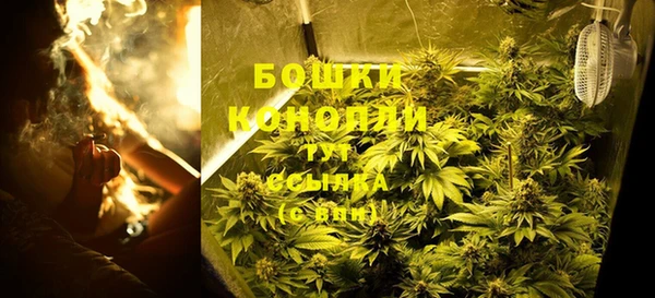 гидра Нефтегорск