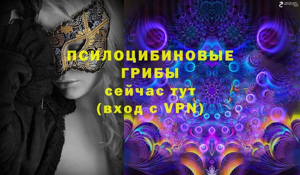 амф Нефтекумск