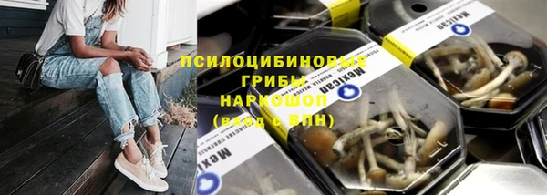 гидра Нефтегорск