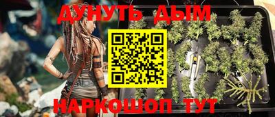 СК Донской