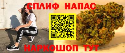 стафф Абакан