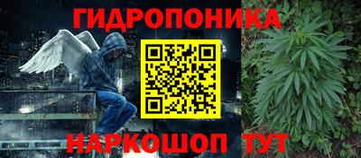 СК Донской
