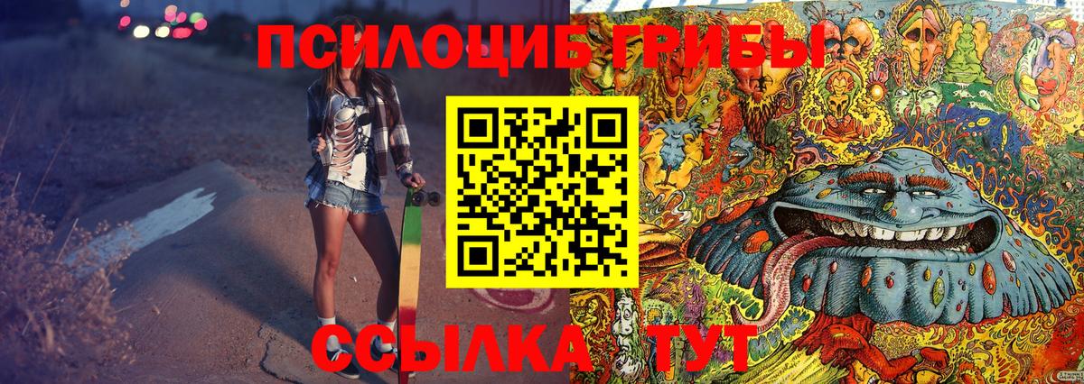 Галлюциногенные грибы Psilocybe  цены   Каменка 