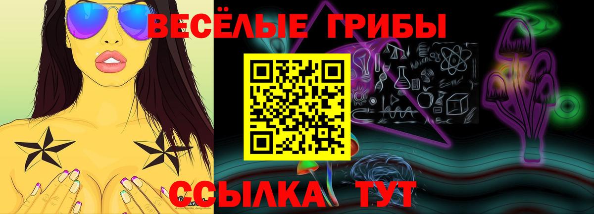 Каменка  Псилоцибиновые грибы мицелий  Вход с VPN  Псилоцибиновые грибы GOLDEN TEACHER 